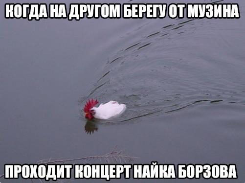 Это картинка