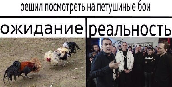 Это картинка