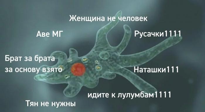 Это картинка