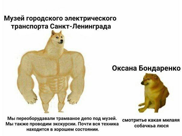 Это картинка