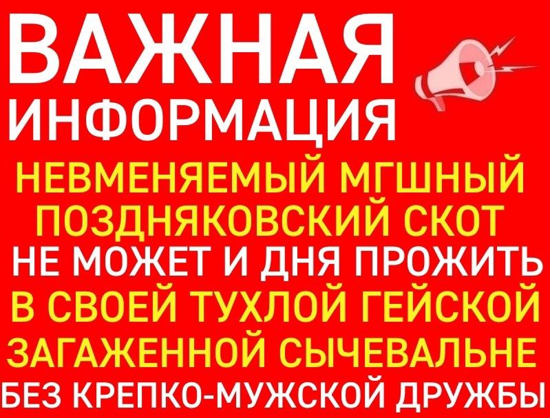 Это картинка