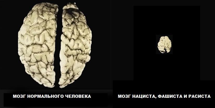 Это картинка