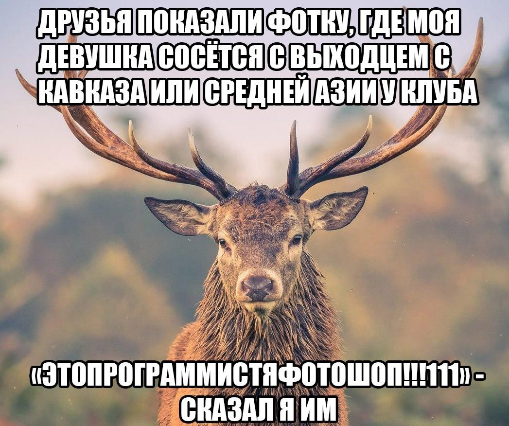Это картинка