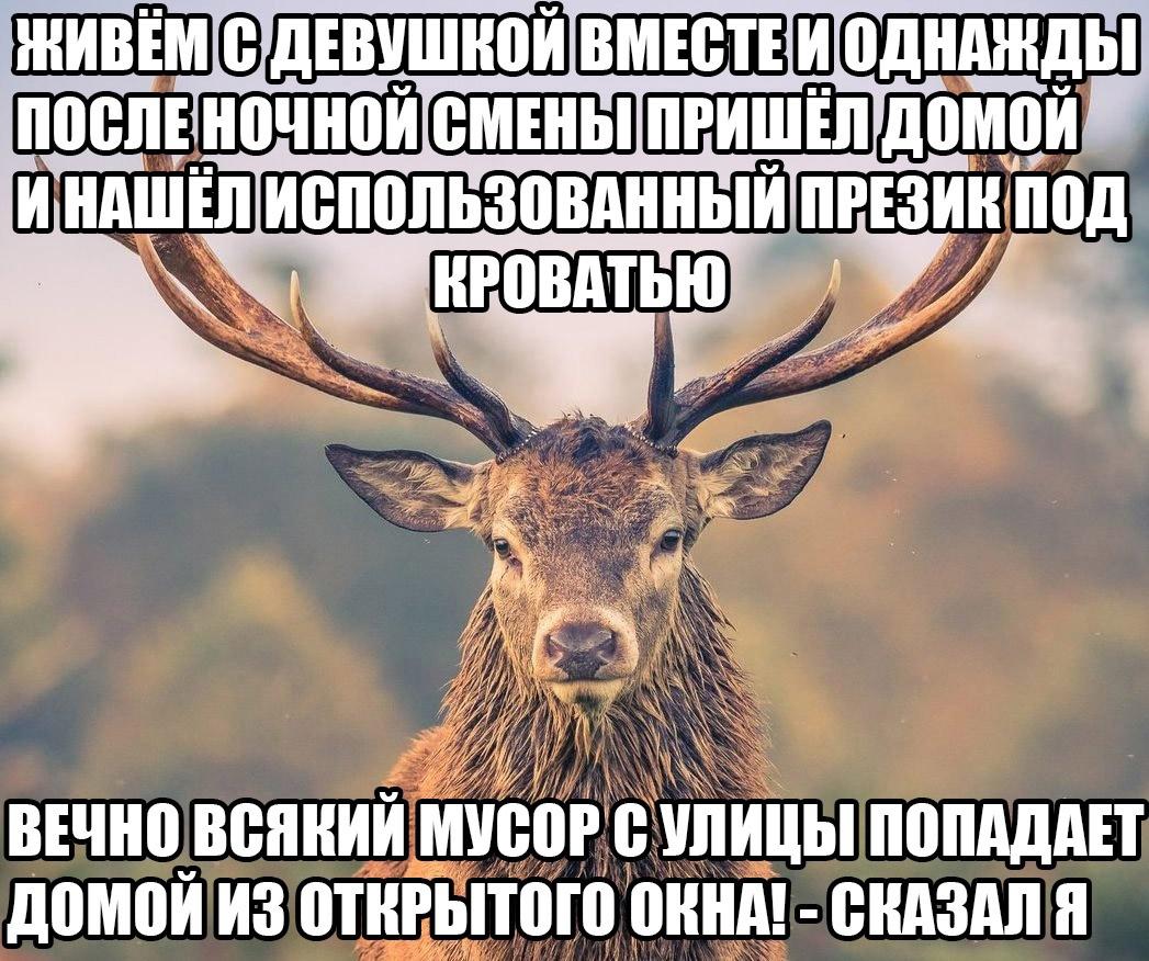 Это картинка
