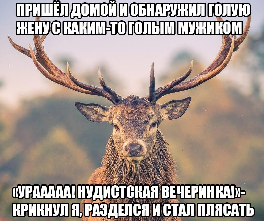 Это картинка