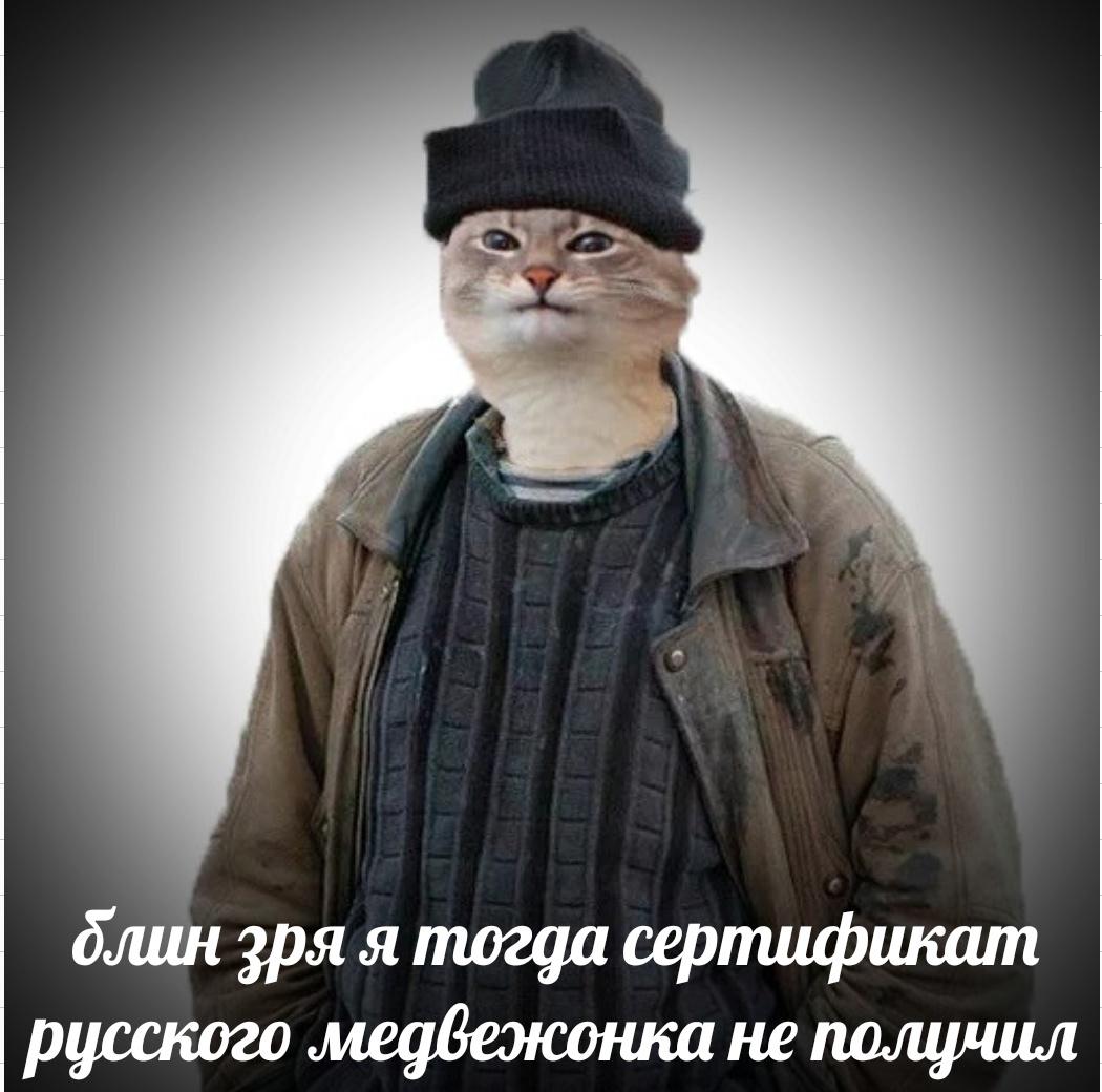 Это картинка